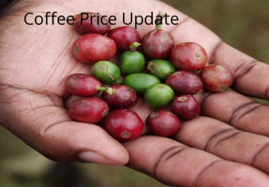 Coffee Prices (Karnataka) on 21-01-2022