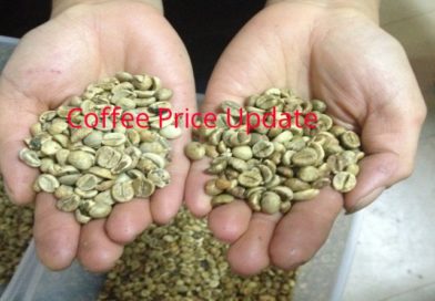 Coffee Prices (Karnataka) on 16-05-2022