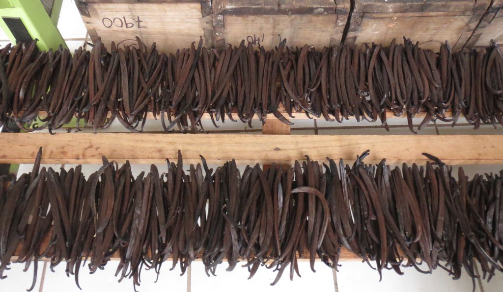 Vanilla price reaches record high after Madagascar cyclone Kirehalli