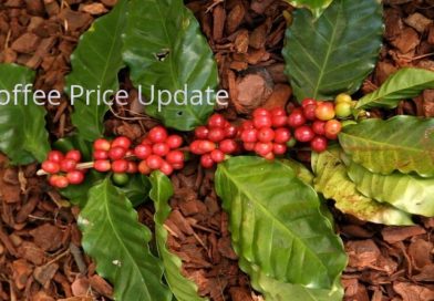 Coffee Prices (Karnataka) on 05-06-2023