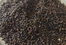 Today’s Black Pepper Rates from Chikkamagaluru, Sakleshpur, Madikeri & More – 18/07/2025